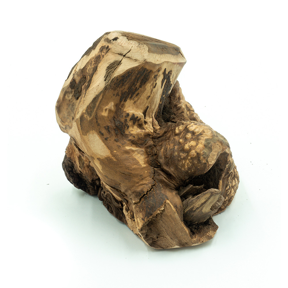 Explorer Dog žvýkací kořen vřesu L