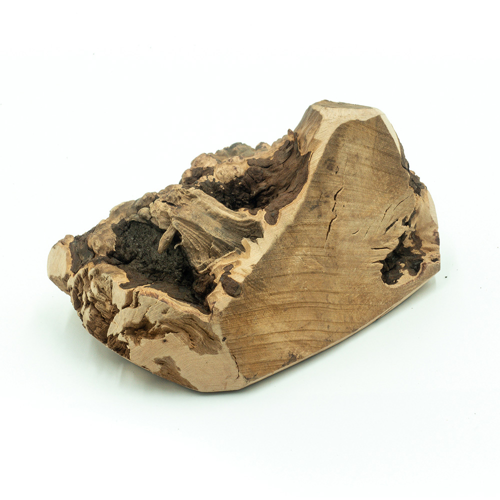 Explorer Dog žvýkací kořen vřesu M