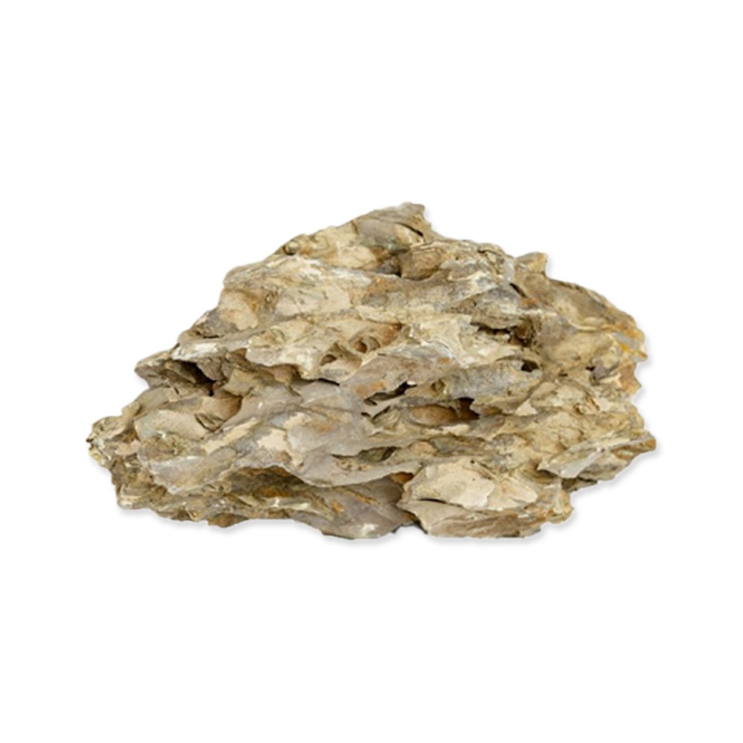 Dekorace Rataj kámen Dragon rock M 1-2 kg, 15-25cm