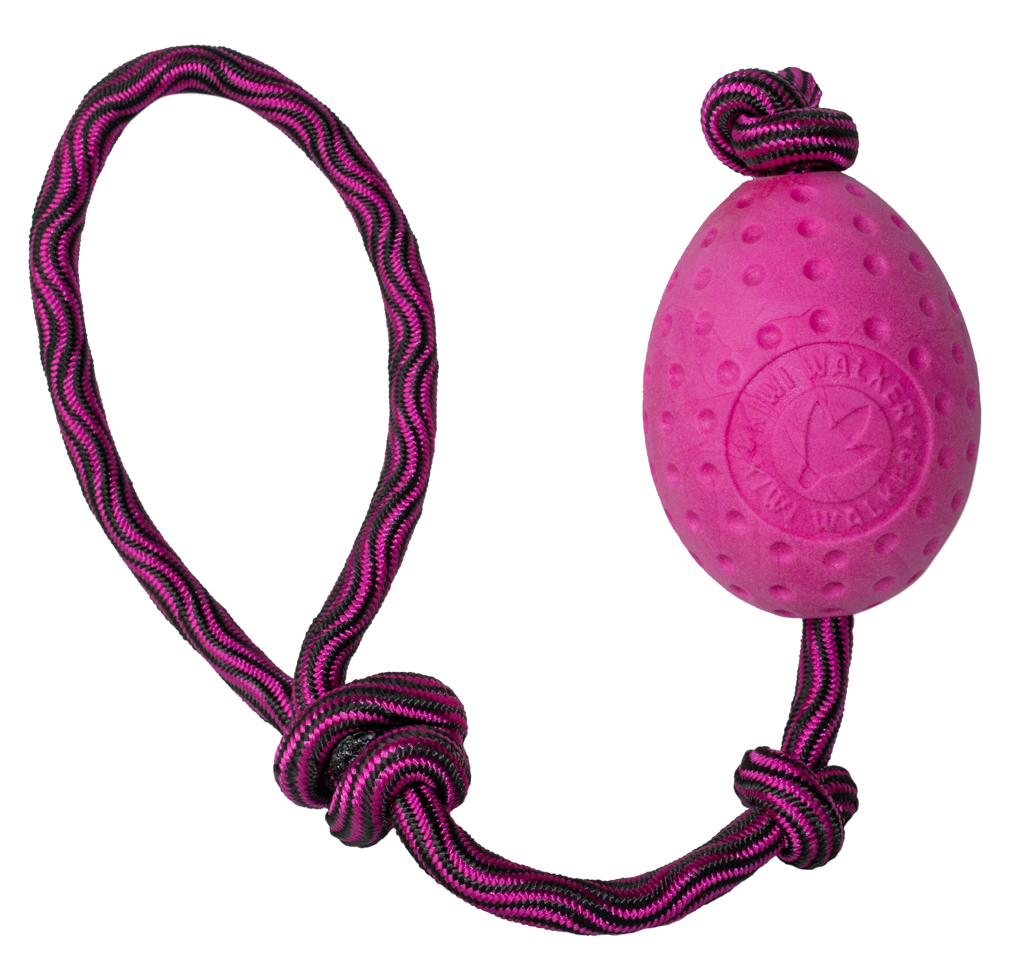 Hračka pes EGG MAXI plov. z TPR růžová Kiwi