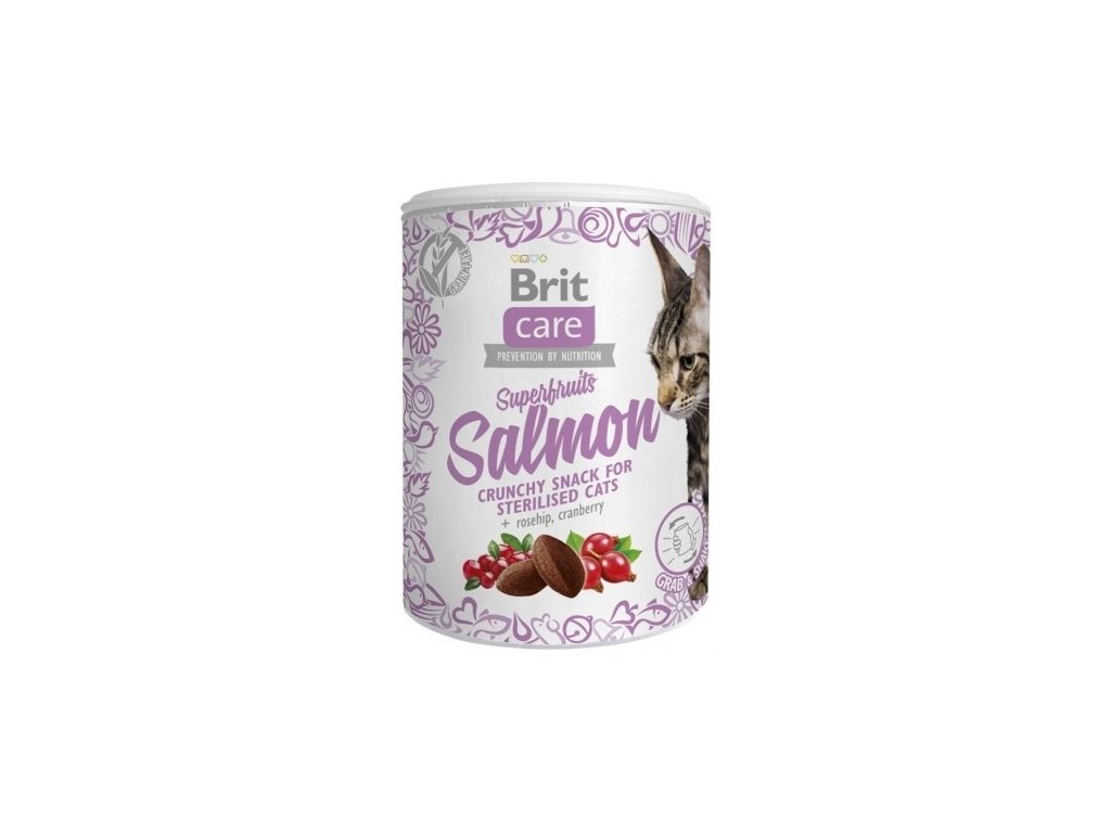 Brit Care Cat Snack Superfruits Salmon 100g