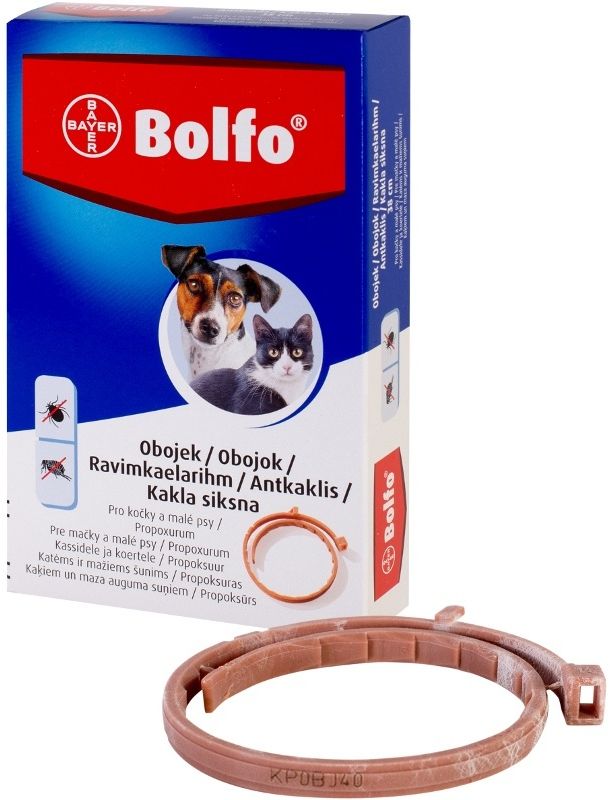 Bayer Bolfo obojek pro kočky a malé psy 38 cm