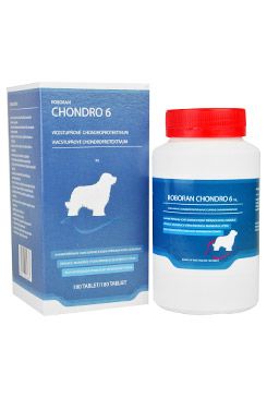 Roboran Chondro 6 pro psy 180 tbl