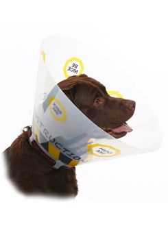 Kruuse BUSTER Design Collar límec ochranný plastový 12,5cm