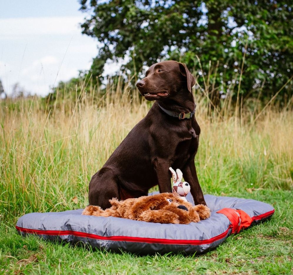 Nobby Classic polštář RENO pro psy černá 113x83x12cm