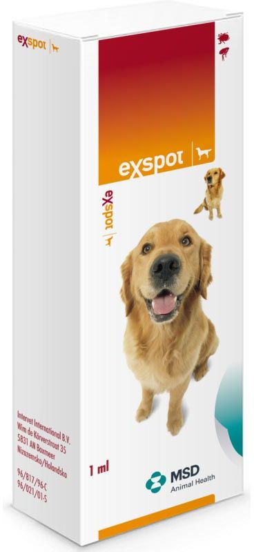 MSD Exspot spot on 1x1ml