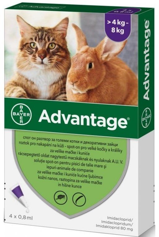 Advantage pro velké kočky a králíky 80mg 4x0,8ml