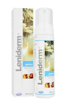 ICF Leniderm foam 200ml