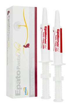 ICF Epato pasta plus 2x15ml