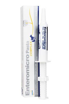 ICF Enteromicro pasta 15ml