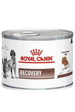 Royal Canin Veterinary Royal Canin VD Fel / Can Recovery 195g konz