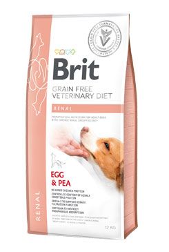 Brit Veterinary Brit VD Dog GF Renal 12kg