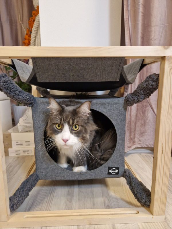 A.K. for Pets B.V. Domek pro kočky Catcube Quapas