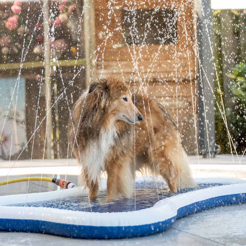 QUAPAS! Original Dog Splash 140 x 90 cm