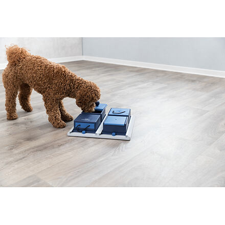 Dog Activity POCKER BOX 1 31x31 cm