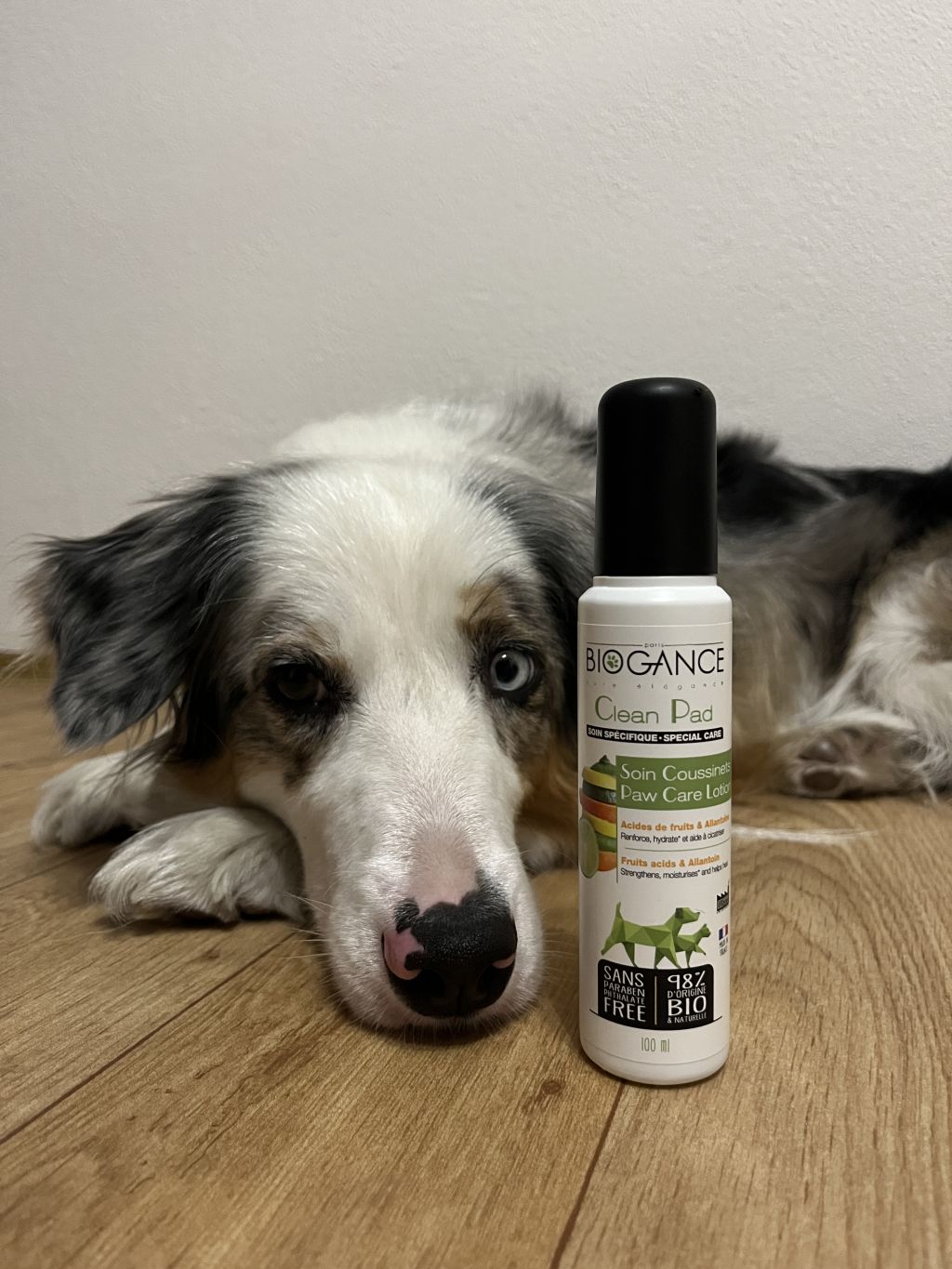 Biogance Clean pads - ochraný spray tlapek 100 ml