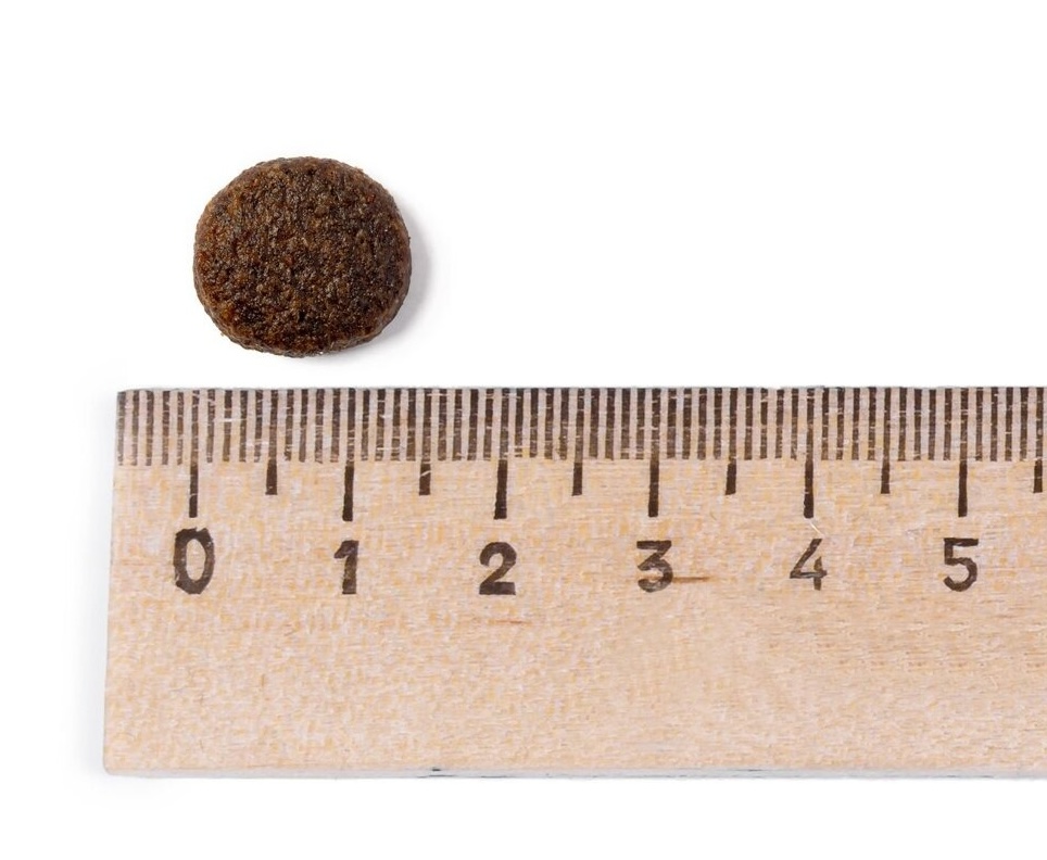 Best Breeder Grain Free Turkey, Sweet Potato & Cranberry 2 kg