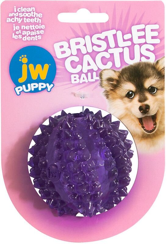 JW Pet JW Bristl-ee Cactus Ball