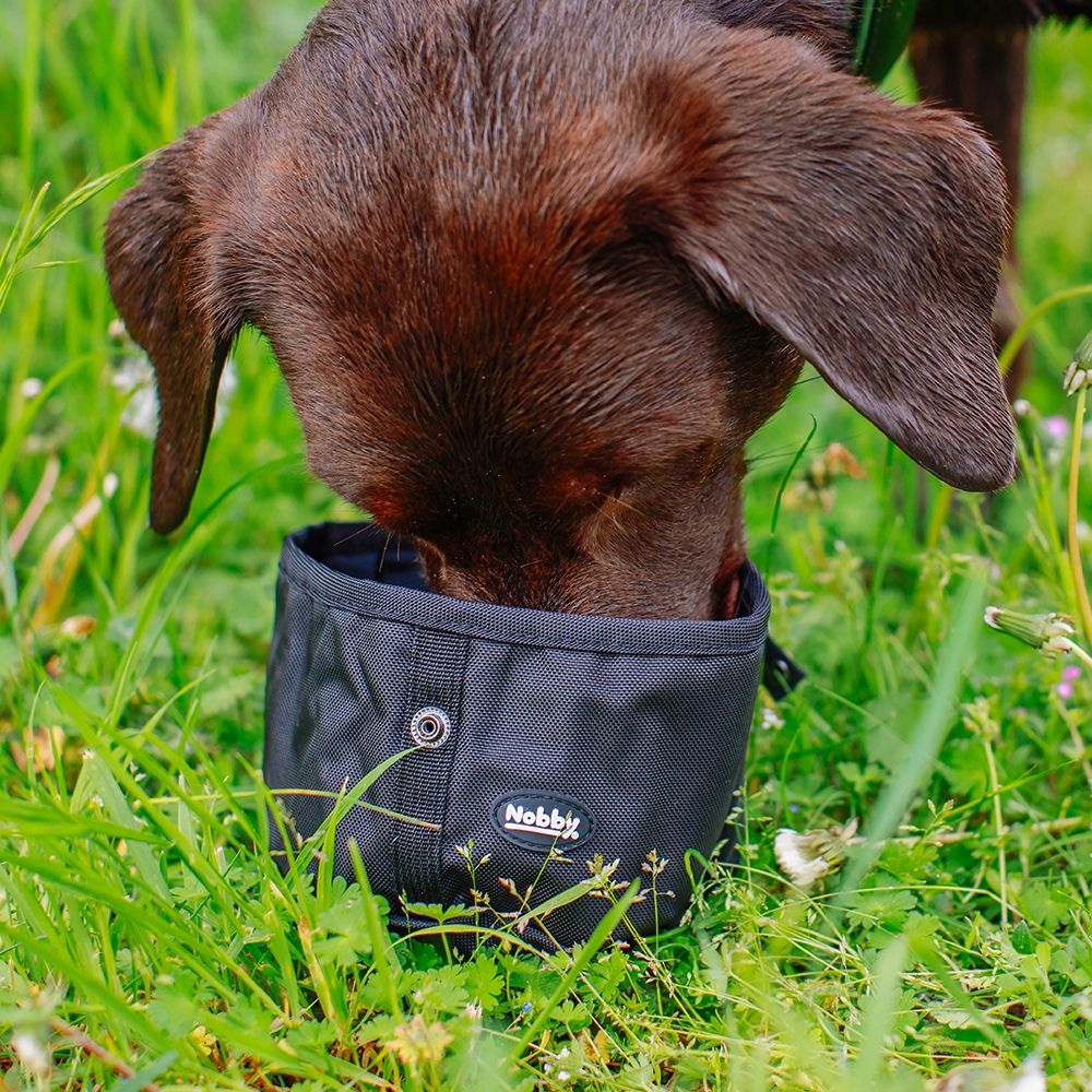 Nobby RIO cestovní miska černá 500ml