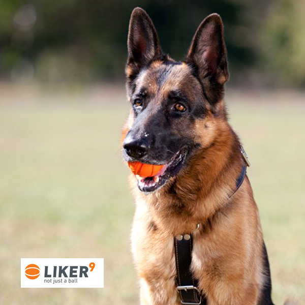 Liker míček pro psy 11 cm