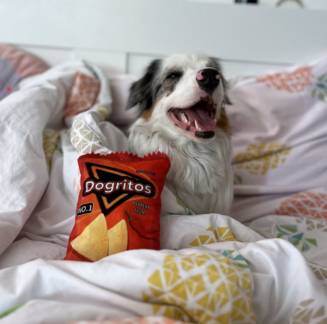 Nobby plyšová hračka Dogritos 20cm