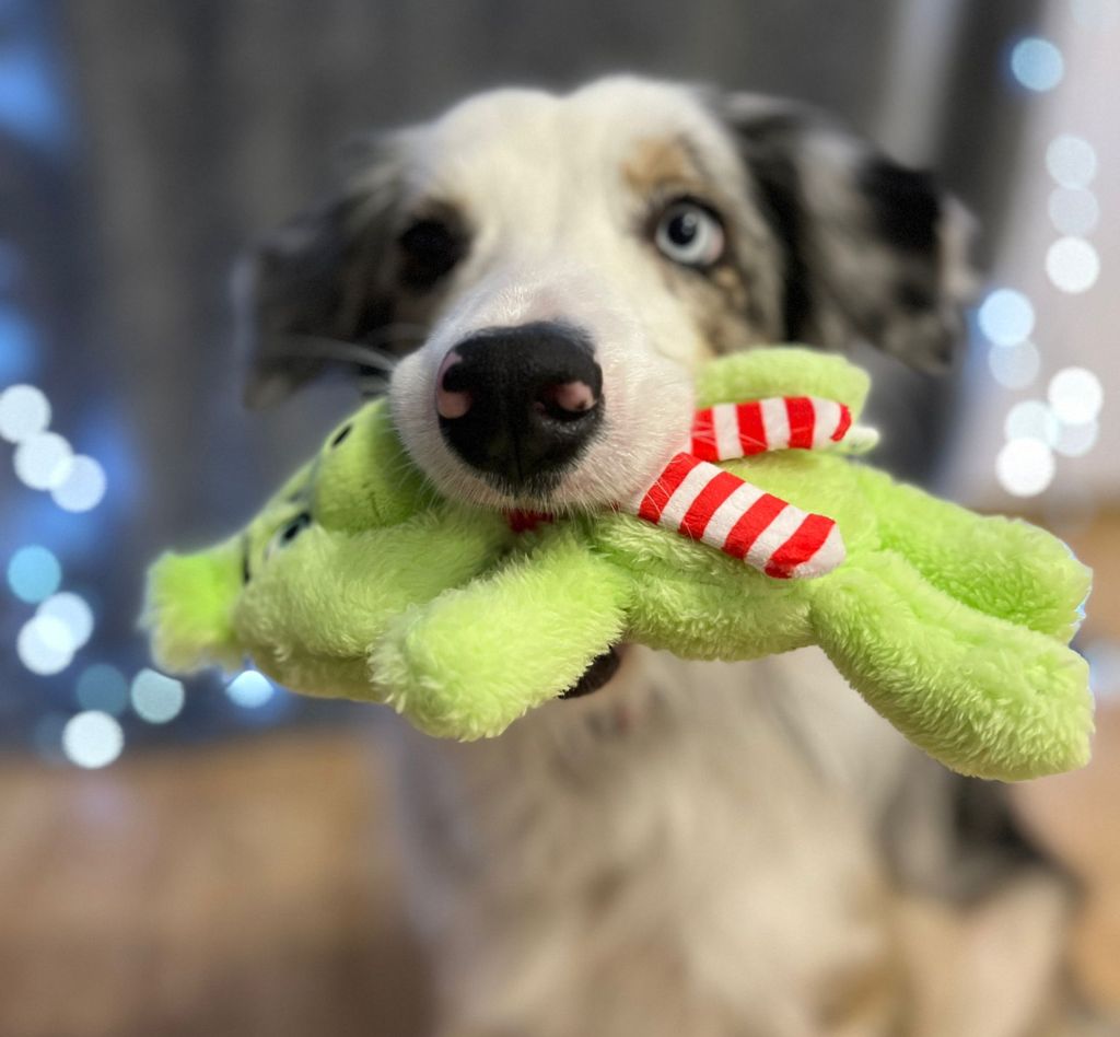 Nobby plyšová hračka GRIMO 25cm