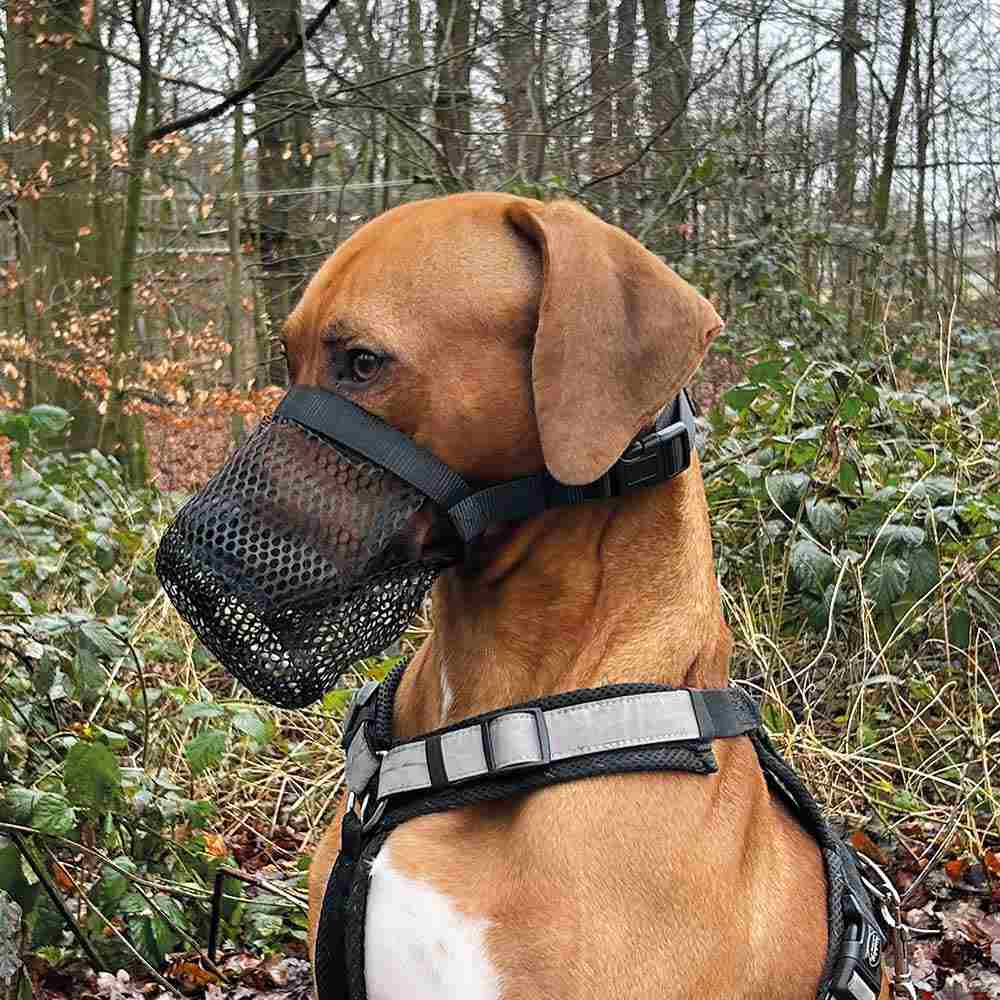 Nobby síťovaný náhubek S-M