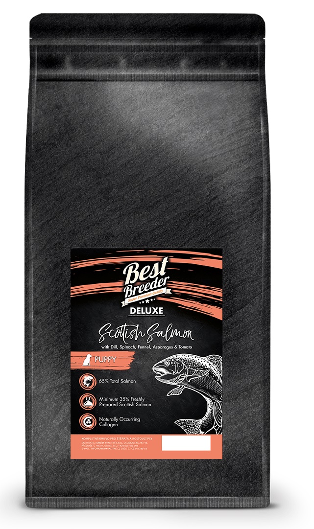 Best Breeder DELUXE Dog Scottish Salmon Puppy 2 kg