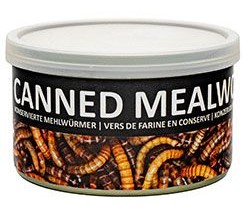 Underground Food s. r. o. UGF moučný červ konzerva 35g