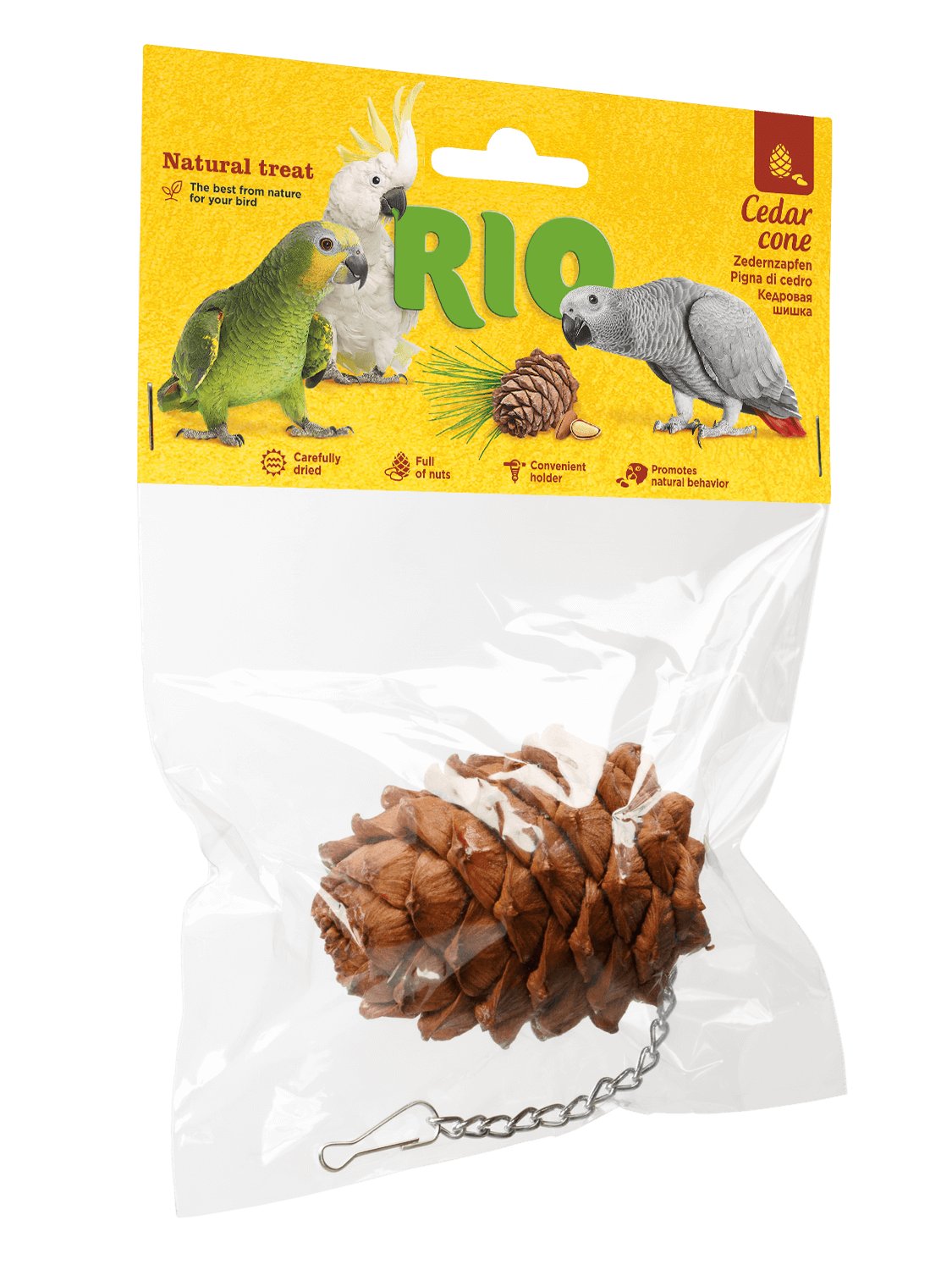 RIO cedrova siska 1ks