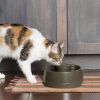 PetSafe® Current Trinkbrunnen L