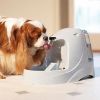 PetSafe® Platinum Đài phun nước 5l