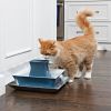 PetSafe® Pagoda kerámia itatókút 2l kék