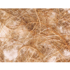 Nobby hnízdní materiál kokos-sisal-juta-bavlna 500g z kategorie Chovatelské potřeby pro ptáky a papoušky > Hnízdění > Hnízdní materiál pro ptactvo
