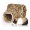 Fűalagút - tengerimalac