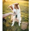 Ecopets Parazit Plus 1