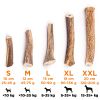 EXPLORER DOG Kaugeweih vom Rothirsch, hart, XL