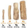 EXPLORER DOG que gặm từ gỗ cà phê L