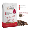 Platinum Vetactive Hypoallergenic 1,5 kg 1