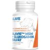 Alavis MSM + Glukosamin sulfát pro psy 60tbl – 2