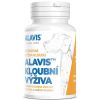 Alavis Kloubní výživa pro psy 90 tablet – 2