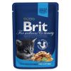 Brit Premium Cat kapsa Chicken Chunks for Kitten 100g
