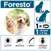foresto38 2