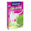 Vitakraft Cat Gras Refill kočičí tráva semínka 120g z kategorie Chovatelské potřeby a krmiva pro kočky > Vitamíny a léčiva pro kočky > Trichobezoáry u koček