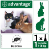 Advantage 80 10% 1x0,8ml pro kočky a králíky nad 4kg