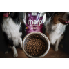 27342 9 27342 2 marp holistic white mix small breed 12kg