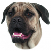 Bullmastif samolepka 2ks z kategorie Chovatelské potřeby a krmiva pro psy > Tabulky, samolepky > Samolepky psů