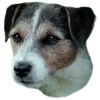 Jack Russel terier hrubosrstý samolepka 2ks