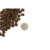 Marp Holistic Salmon Cat 12kg – 3
