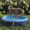 Nobby bazén s postřikovačem Splash Pool S 80x20cm – 2